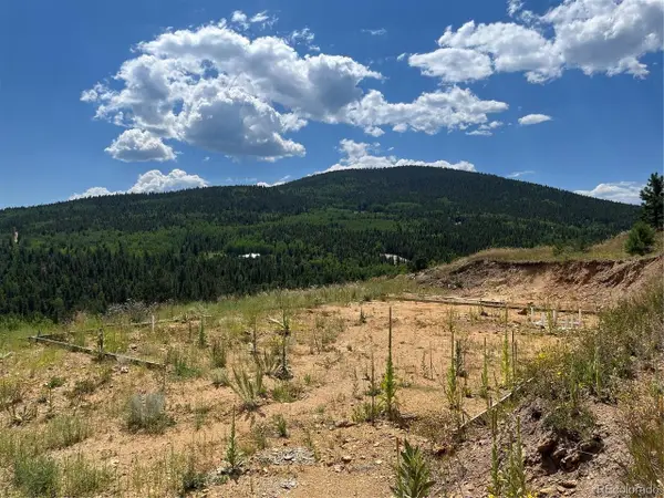 795 Russell Gulch Rd, Central City, CO 80427