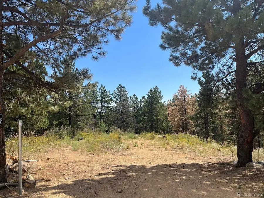 795 Russell Gulch Rd, Central City, CO 80427 - #2