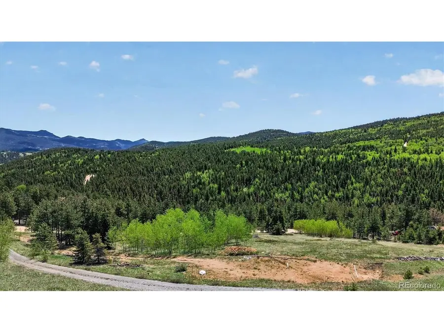 795 Russell Gulch Rd, Central City, CO 80427 - #3