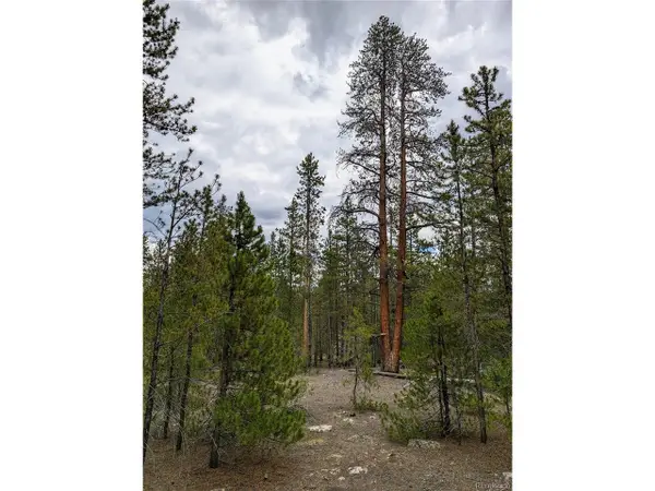 437 Juniper Dr, Twin Lakes, CO 81251