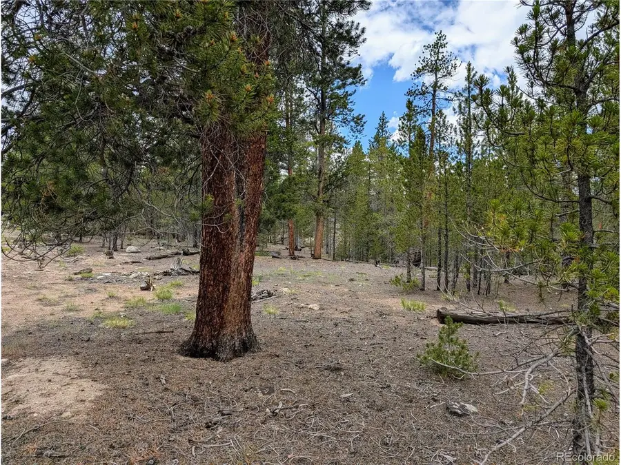 437 Juniper Dr, Twin Lakes, CO 81251 - #2