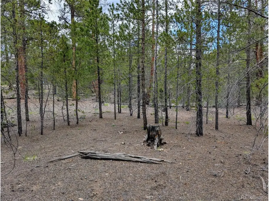 437 Juniper Dr, Twin Lakes, CO 81251 - #3