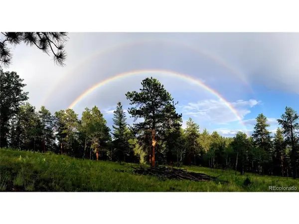 45336 S Elk Creek Rd, Pine, CO 80470