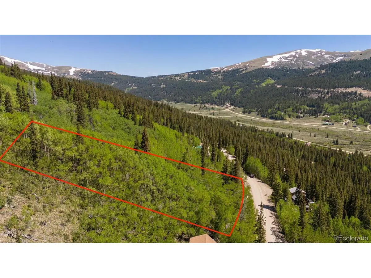 1255 Quartzville Rd, Fairplay, CO 80440 - #1