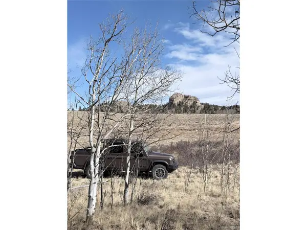 50 Rawhide Way, Jefferson, CO 80456