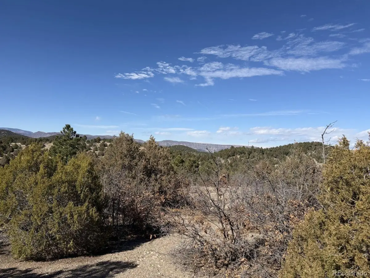 3412 Indian Wells Rd, Cotopaxi, CO 81223 - #1