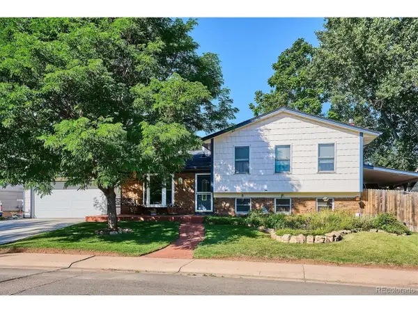 4659 S Alkire St, Morrison, CO 80465