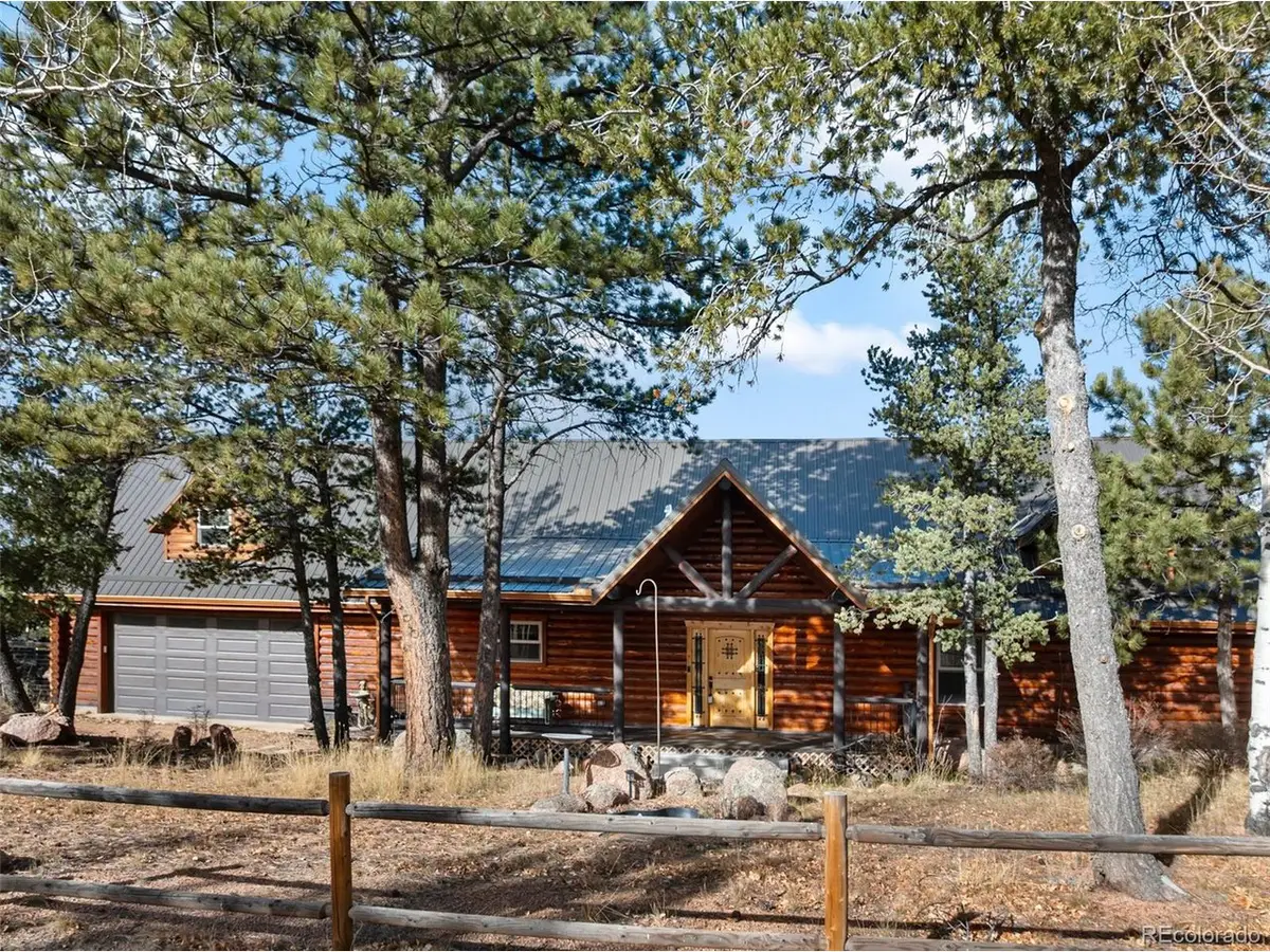 111 Blue Spruce Rd, Divide, CO 80814 - #1