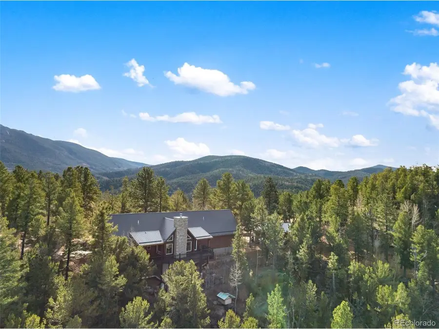 111 Blue Spruce Rd, Divide, CO 80814 - #3