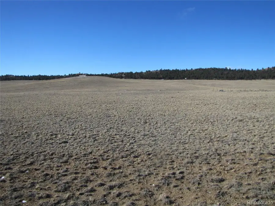 642 N Margaret Pl, Hartsel, CO 80449 - #2