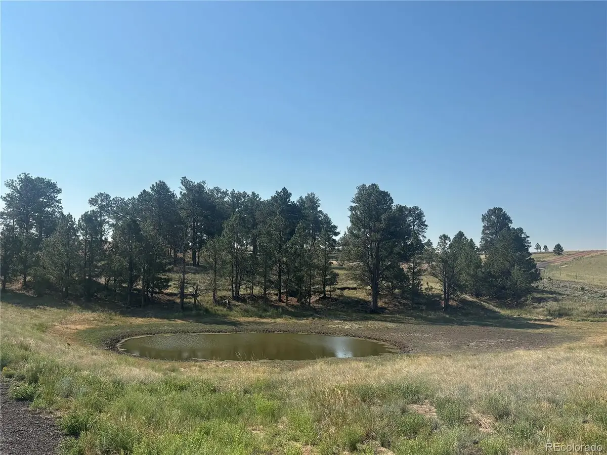 32147 Waylongood Pt, Kiowa, CO 80117 - #1
