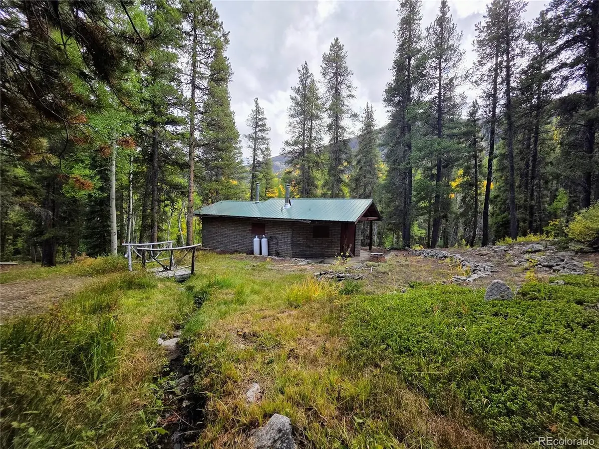 16101 Rob Roy Ms Mc, Nathrop, CO 81236 - #1