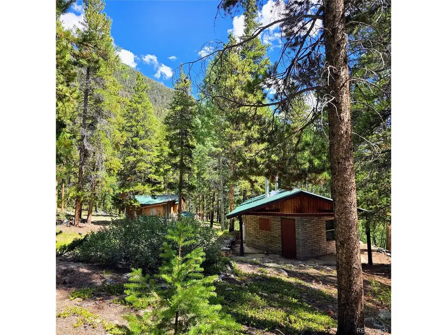 16101 Rob Roy Ms Mc, Nathrop, CO 81236 - #3