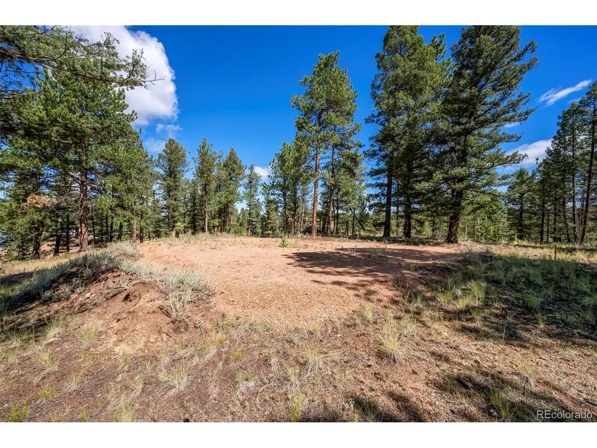 210 Donzi Trl, Florissant, CO 80816 - #1