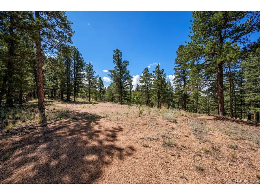 210 Donzi Trl, Florissant, CO 80816 - #2
