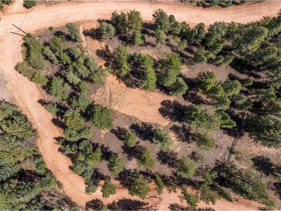 210 Donzi Trl, Florissant, CO 80816 - #3