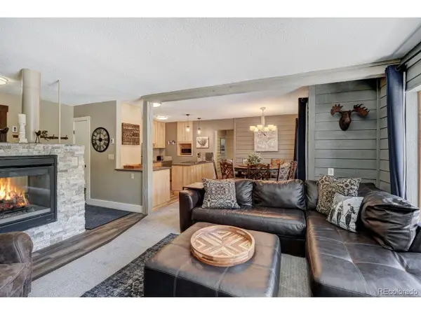 145 Wheeler Pl #210, Copper Mountain, CO 80443