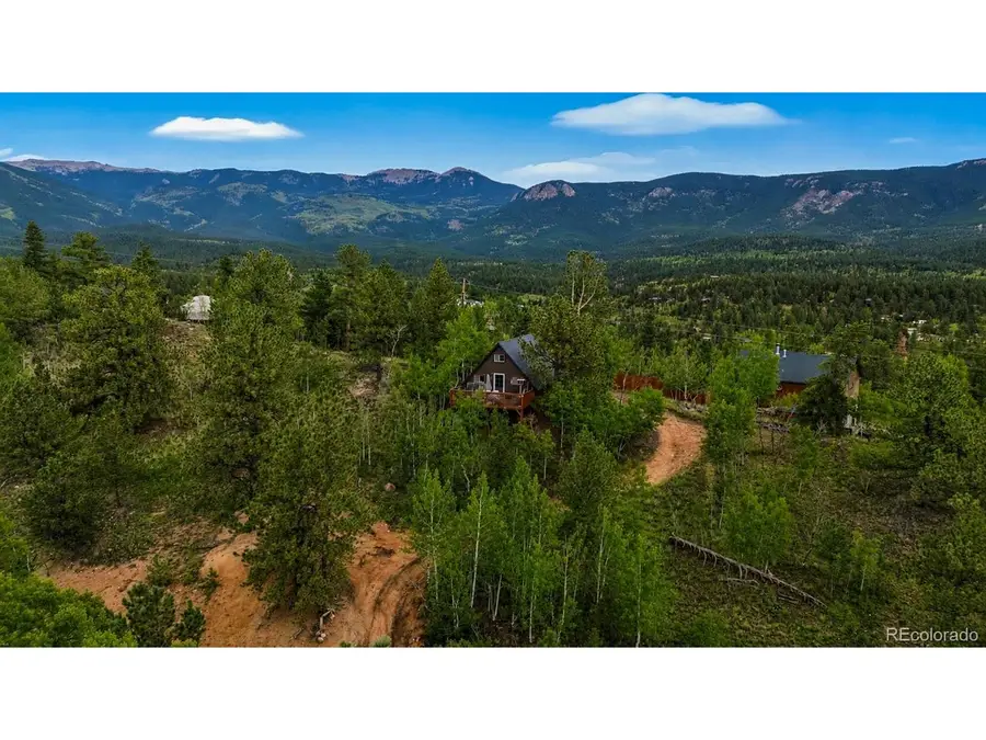 229 Mcdougal Rd, Bailey, CO 80421 - #2