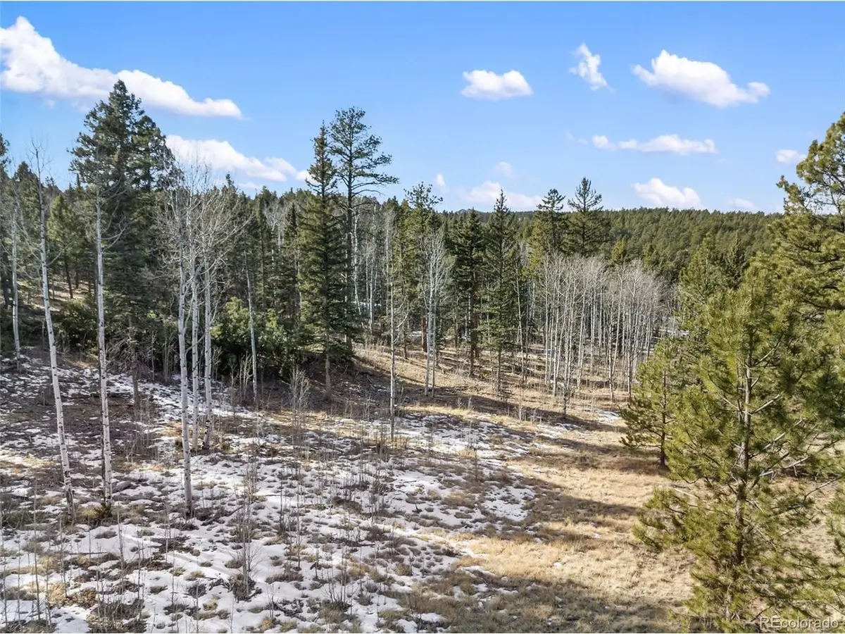 20 Echo Lake Dr, Lake George, CO 80827 - Image #1
