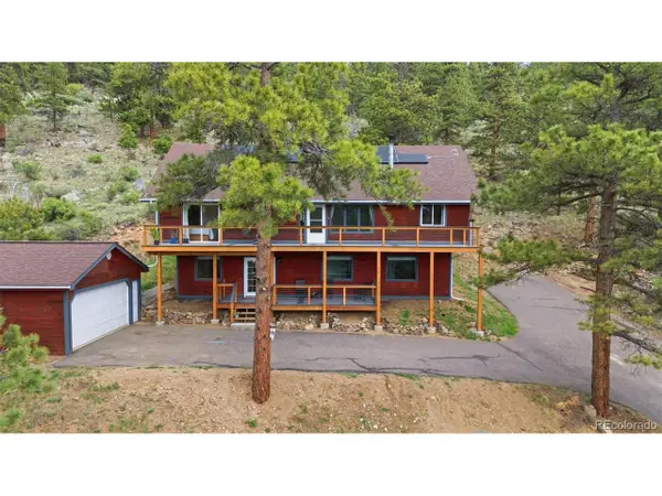 202 Badger Ln, Bailey, CO 80421