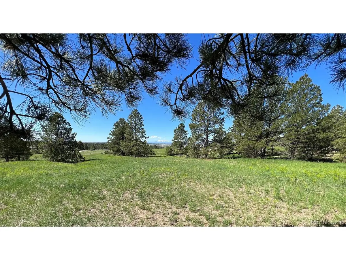 10290 Democrat Rd, Parker, CO 80134 - #1