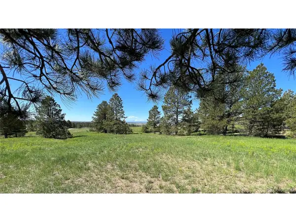 10290 Democrat Rd, Parker, CO 80134