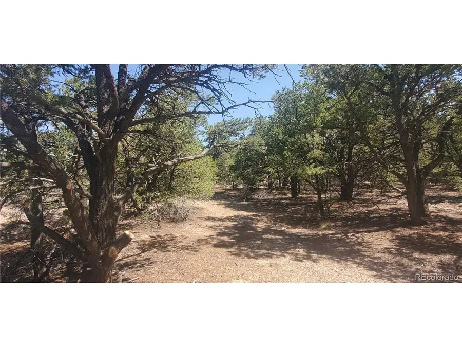 1412 Michaels Road, Fort Garland, CO 81133 - #3