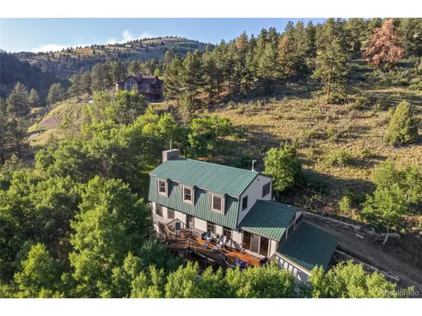 67 Thistle Trl, Idaho Springs, CO 80452