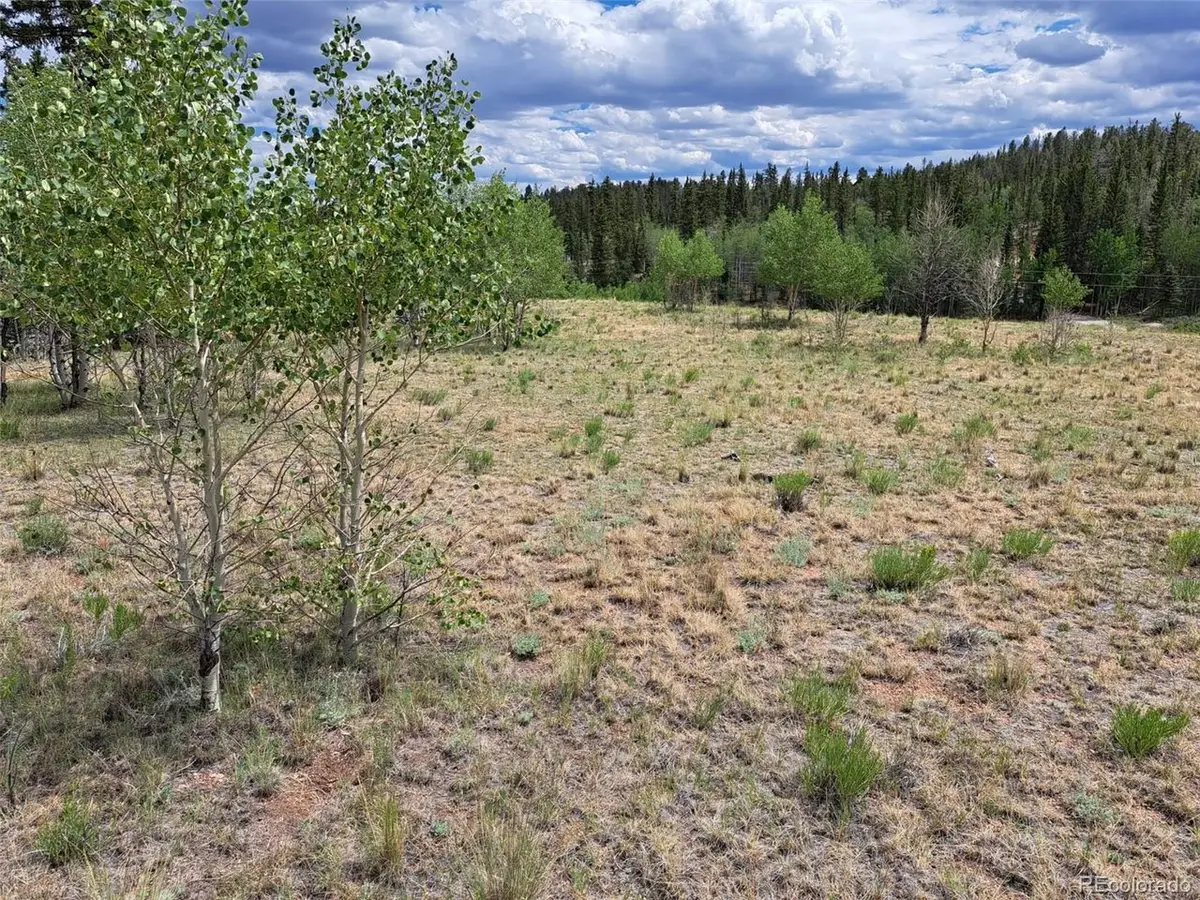 6242 Remington Rd, Como, CO 80432 - #1