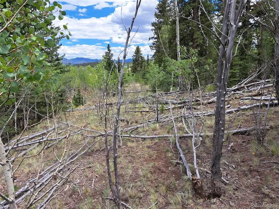 6242 Remington Rd, Como, CO 80432 - #2