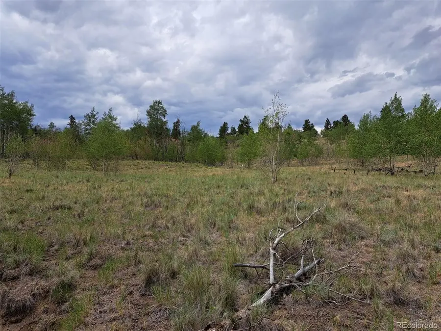 6242 Remington Rd, Como, CO 80432 - #3