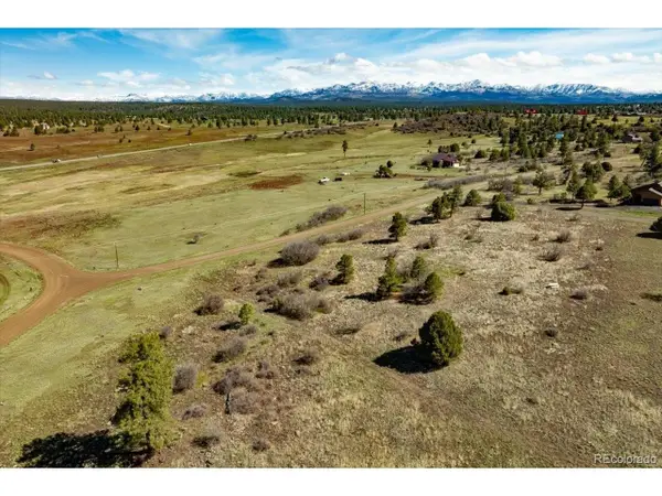 1234 Scenic Ave, Pagosa Springs, CO 81147