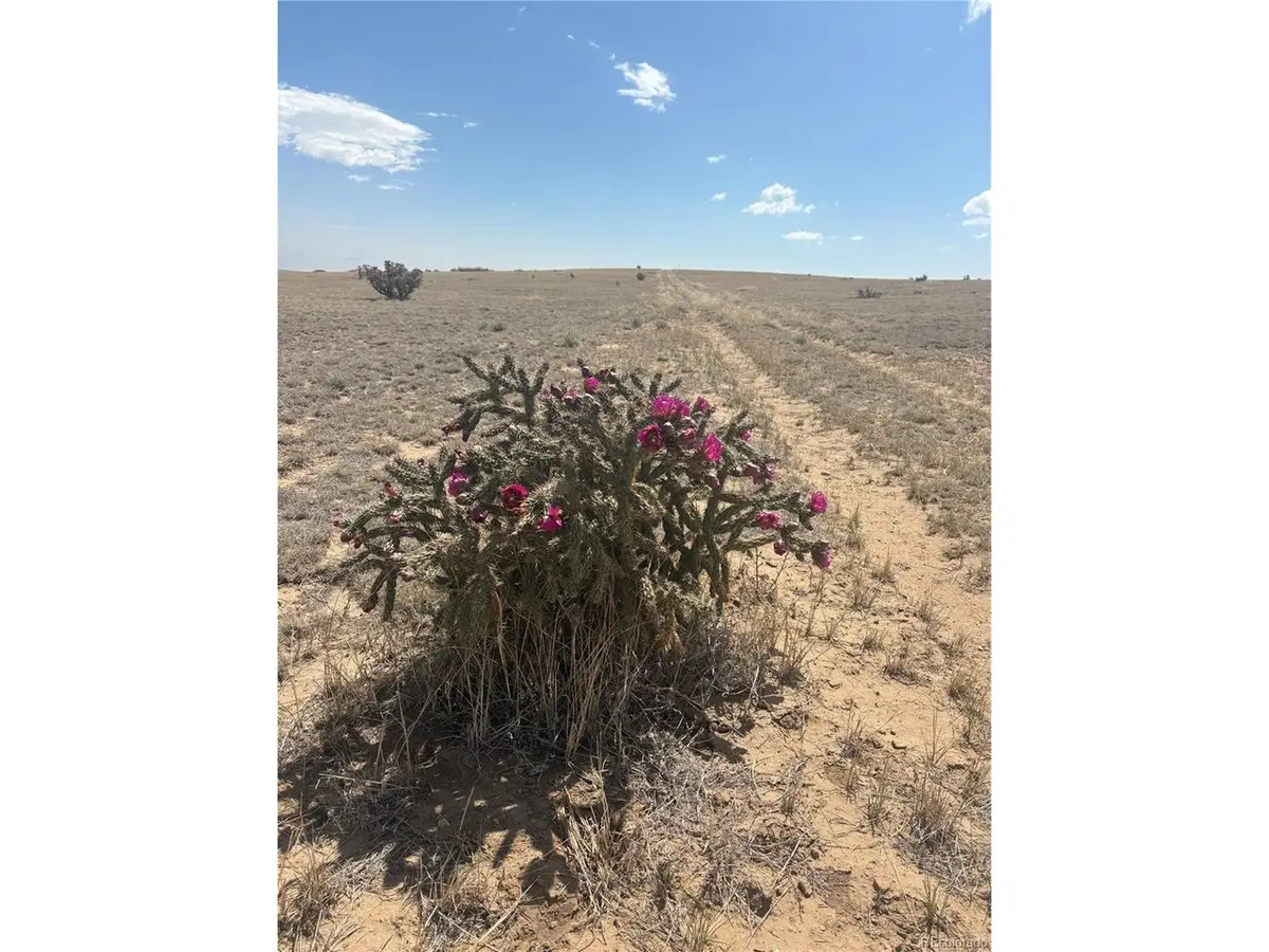 10 Cuerno Verde Ranches, Walsenburg, CO 81089 - #1