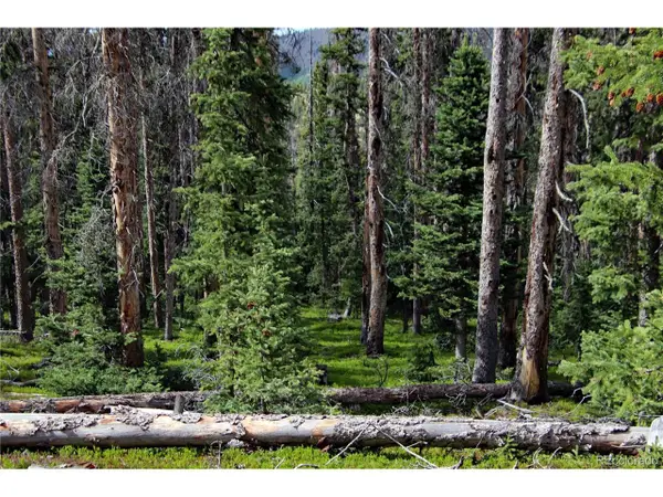 0 Schlueter Rd, Fort Garland, CO 81133