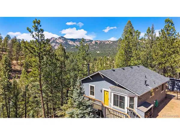 33769 Myrna Ct, Pine, CO 80470