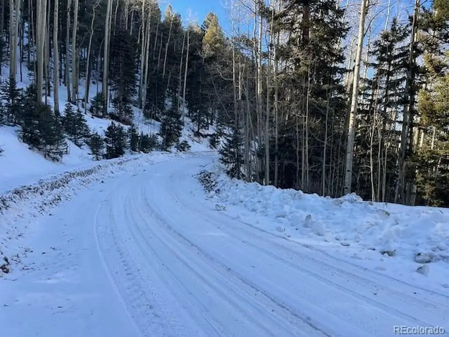 5339 Howard Rd, Fort Garland, CO 81133 - Image #2