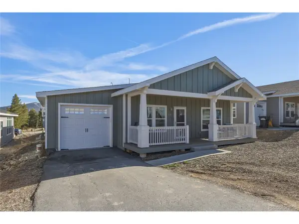 115 Brooklyn Cir, Leadville, CO 80461