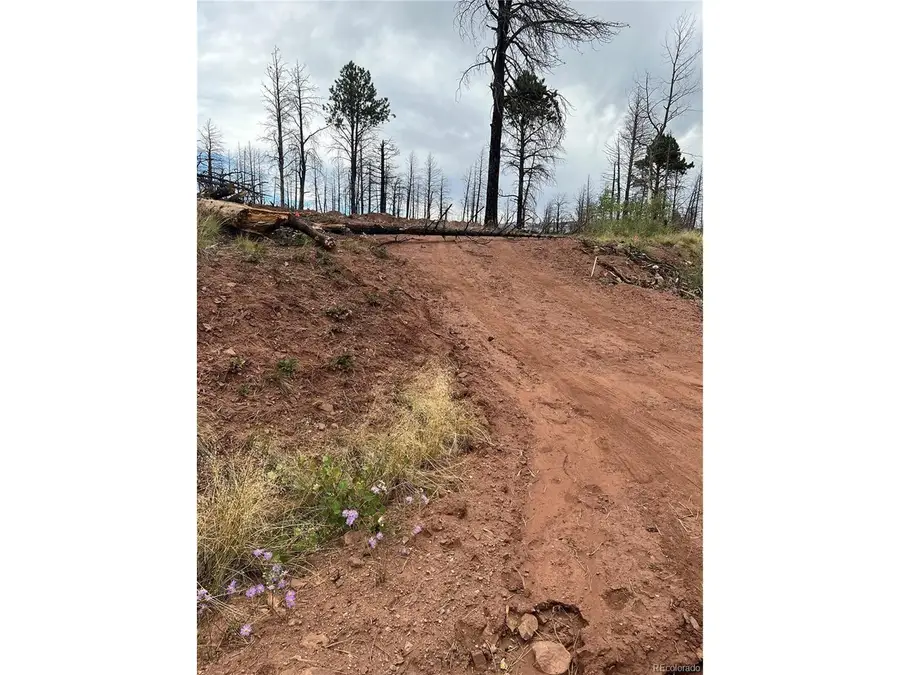 542 Forbes Park, Fort Garland, CO 81133 - #2