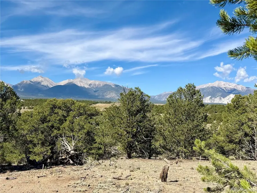 10365 Rawhide Creek Rd, Nathrop, CO 81236 - #2