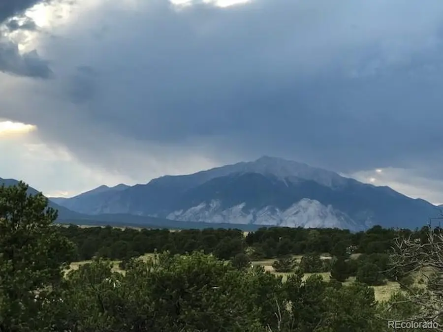 10365 Rawhide Creek Rd, Nathrop, CO 81236 - #3