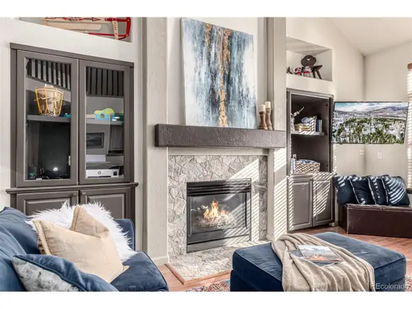 308 Red Hawk Cir, Silverthorne, CO 80498