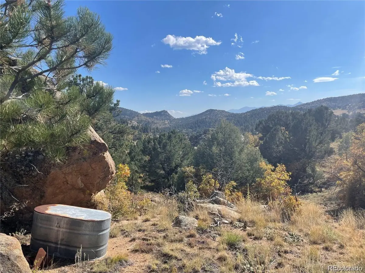 1810 Bird Point Dr, Cotopaxi, CO 81223 - #1