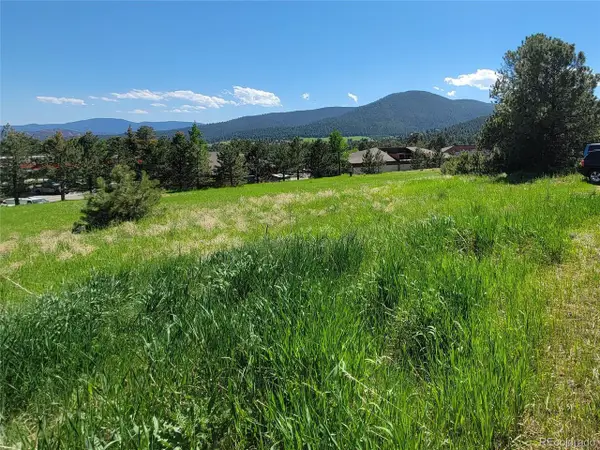 31720 Rocky Village Dr, Evergreen, CO 80439