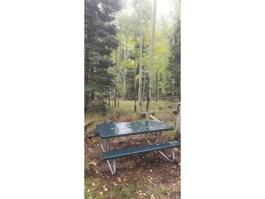 5174 Mo Rd, Fort Garland, CO 81133 - #3