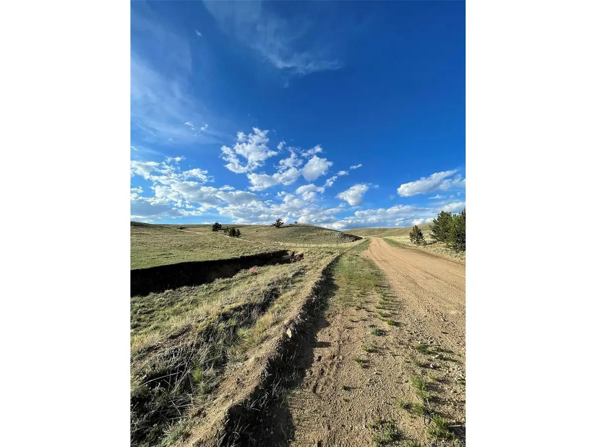 691 Cathy Dr, Hartsel, CO 80449 - #1