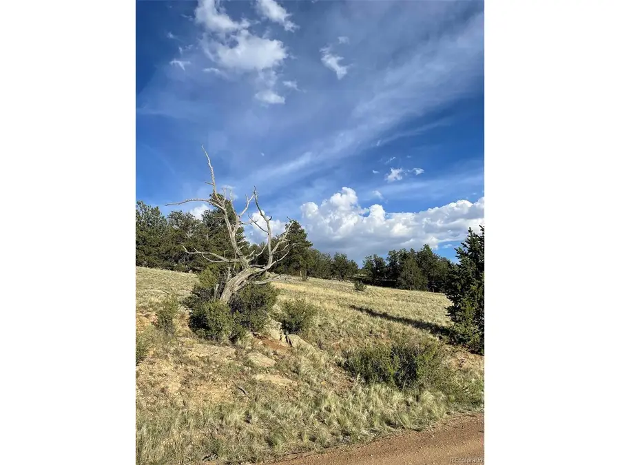 691 Cathy Dr, Hartsel, CO 80449 - #2