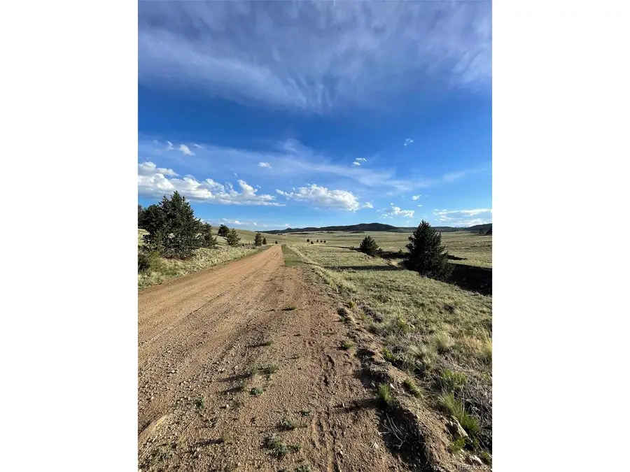 691 Cathy Dr, Hartsel, CO 80449 - #3