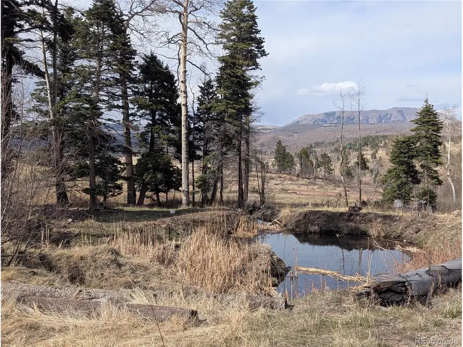 776 Forbes Park Rd, Fort Garland, CO 81133 - #2