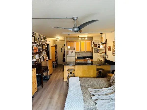 909 N Logan St #6D, Denver, CO 80203