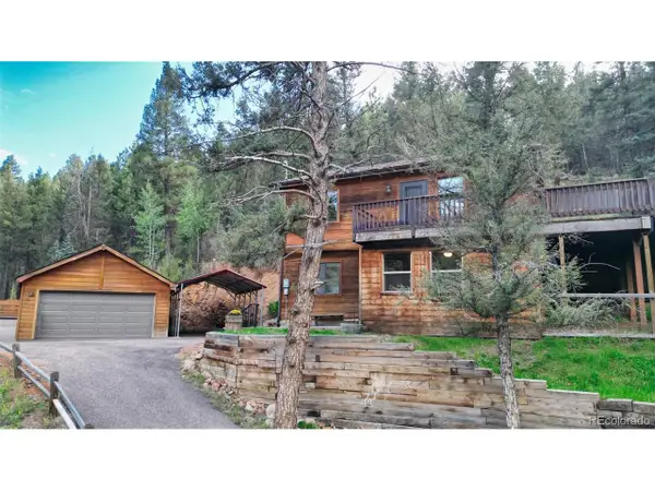 961 Roland Dr, Bailey, CO 80421